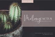 Sale 20% // Bollivia Rosilla, a Script Font by Anatadesign (Thumbnail 7 of 12)