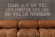 Seraneo Modern Display Typeface, a Serif Font by Letterena Studios (Thumbnail 8 of 15)