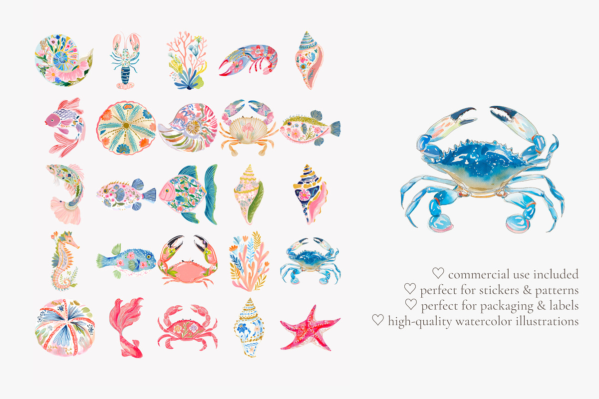 Tropical reef clipart set, a Decorative Illustration by Patishop Art (Photo 7 of 10)