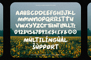 Peaceful Island - Font Duo, a Script Font by Invasi Studio (Thumbnail 6 of 10)