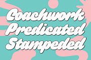 GULP, a Sans Serif Font by Flavortype (Thumbnail 3 of 17)