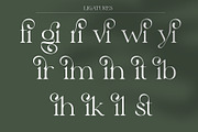Elyaris | Stylish Serif, a Serif Font by Sealoung (Thumbnail 15 of 17)