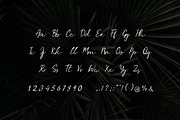 Serendipity Handwritten Font, a Script Font by UICreative (Thumbnail 6 of 6)