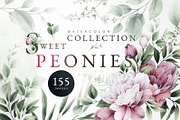 WATERCOLOR BUNDLE Peonies & Roses, an Illustration by ollalya (Thumbnail 87 of 101)