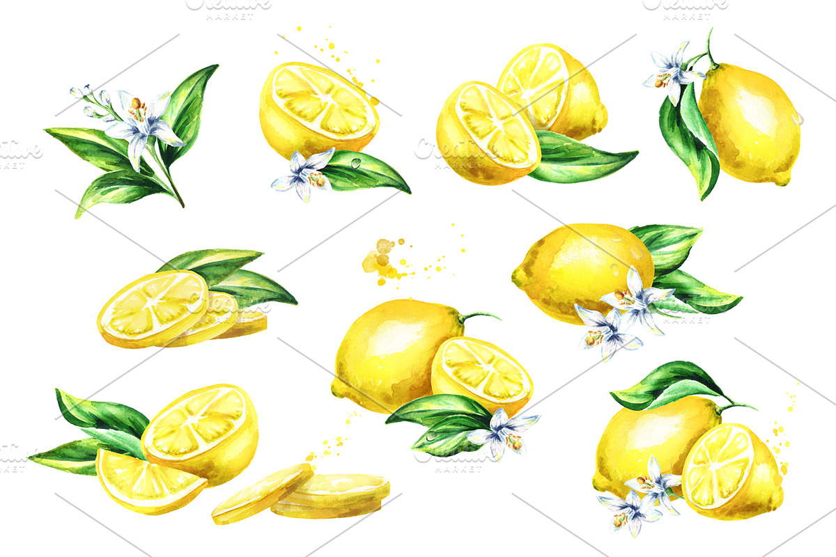 Fresh Lemon. Watercolor collection, a Background Graphic by Daria Ustiugova (Photo 3 of 9)