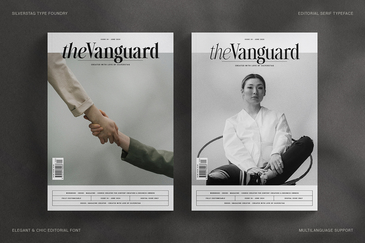 The Silver Editorial - 18 Fonts Pack, a Serif Font by SilverStag Type Foundry (Photo 11 of 30)