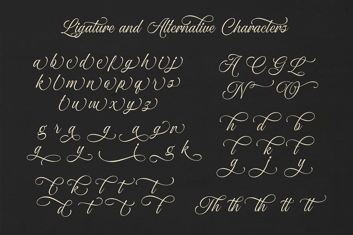 Ocean Delight a Stylish Script Font, a Script Font by Blankids Studio (Photo 11 of 13)