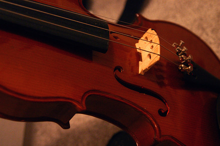 Violin closeup