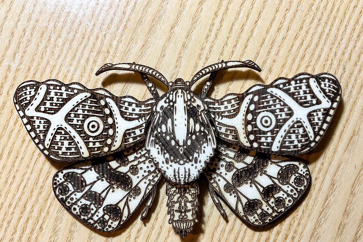 Butterfly Laser Cut Glowforge xTool, an Animal Illustration by Bubert Art (Photo 4 of 9)