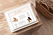 Magic pregnancy feminine pack, a Person Illustration by Alisovna (Thumbnail 6 of 12)