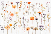 Tiny wildflowers set, a Decorative Illustration by marie dricot (Thumbnail 6 of 15)