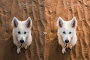 Bright Vibrant FUJIFILM LR Presets, an Action Add-On by CityTurtles (Thumbnail 6 of 10)