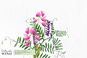 Wild floral clipart meadow flowers, an Illustration by Ksenia Shmakova (Thumbnail 7 of 11)