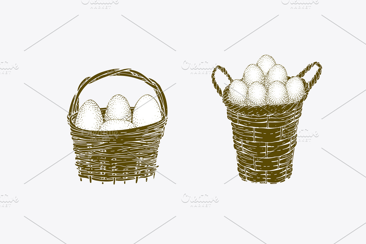 Farm Birds Vector collection, an Animal Illustration by Lubov Illustrations Shop (Photo 4 of 6)