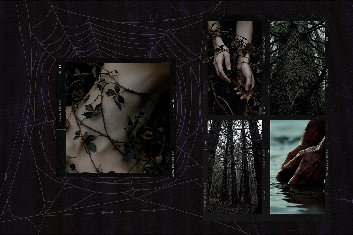 Darkwood Aesthetic Video Bundle, a Social Media Template by The Flossy Finch (Photo 13 of 24)