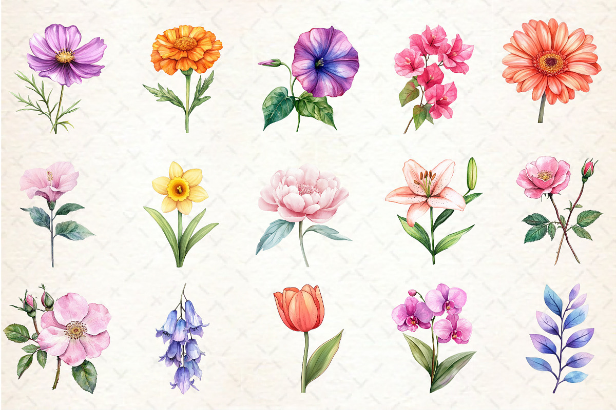 Watercolor Floral Summer Clipart, an Illustration by Rose Art (Photo 4 of 4)