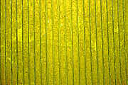 Colorful Wood Textures x6, a Texture Graphic by MHLY (Thumbnail 3 of 5)