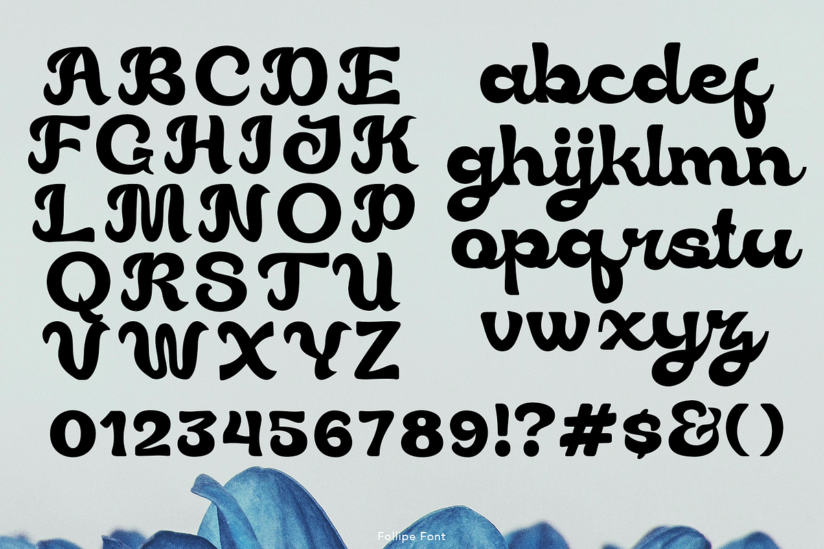 Follipe Bold Script, a Script Font by madeDeduk (Photo 4 of 11)
