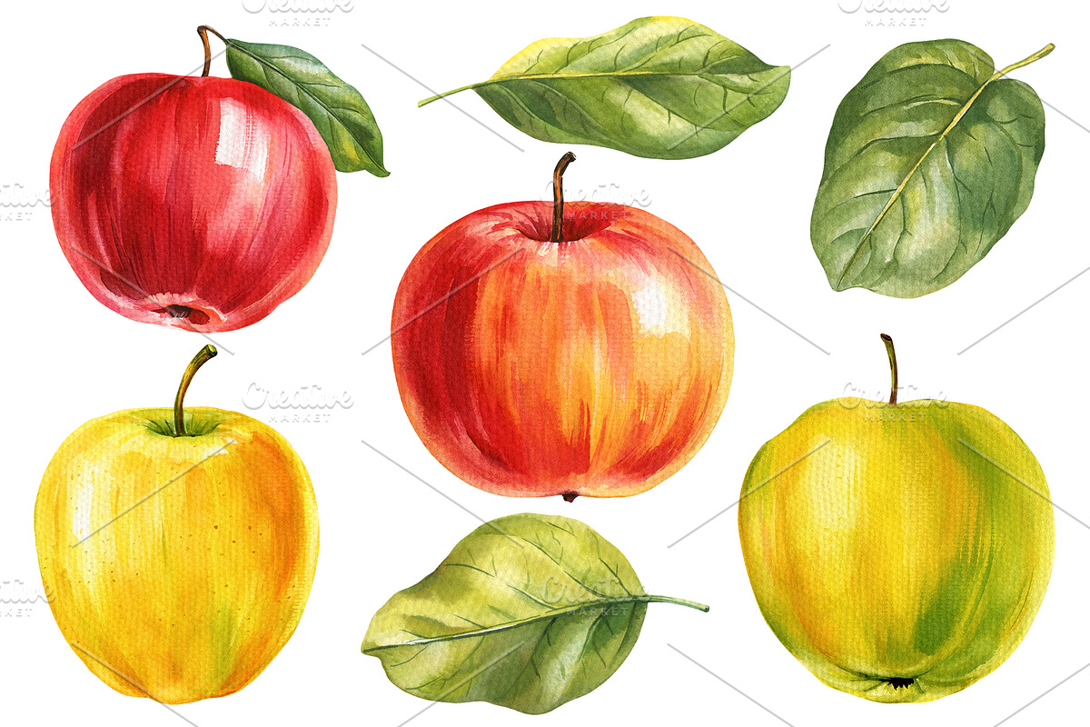 Harvest Thanksgiving fall clipart, a Decorative Illustration by Hanna Hryharenka (Photo 15 of 20)