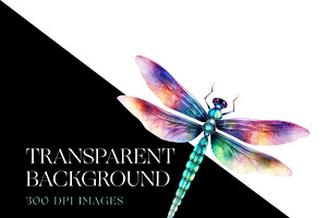 Watercolor Dragonfly Clipart, Insect