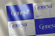Goneva - Modern Serif Typeface Font, a Serif Font by Flawless And Co (Thumbnail 3 of 10)