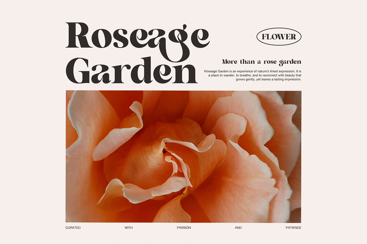 The Nagifte – Elegant Display Serif, a Serif Font by Perfectype (Photo 4 of 8)