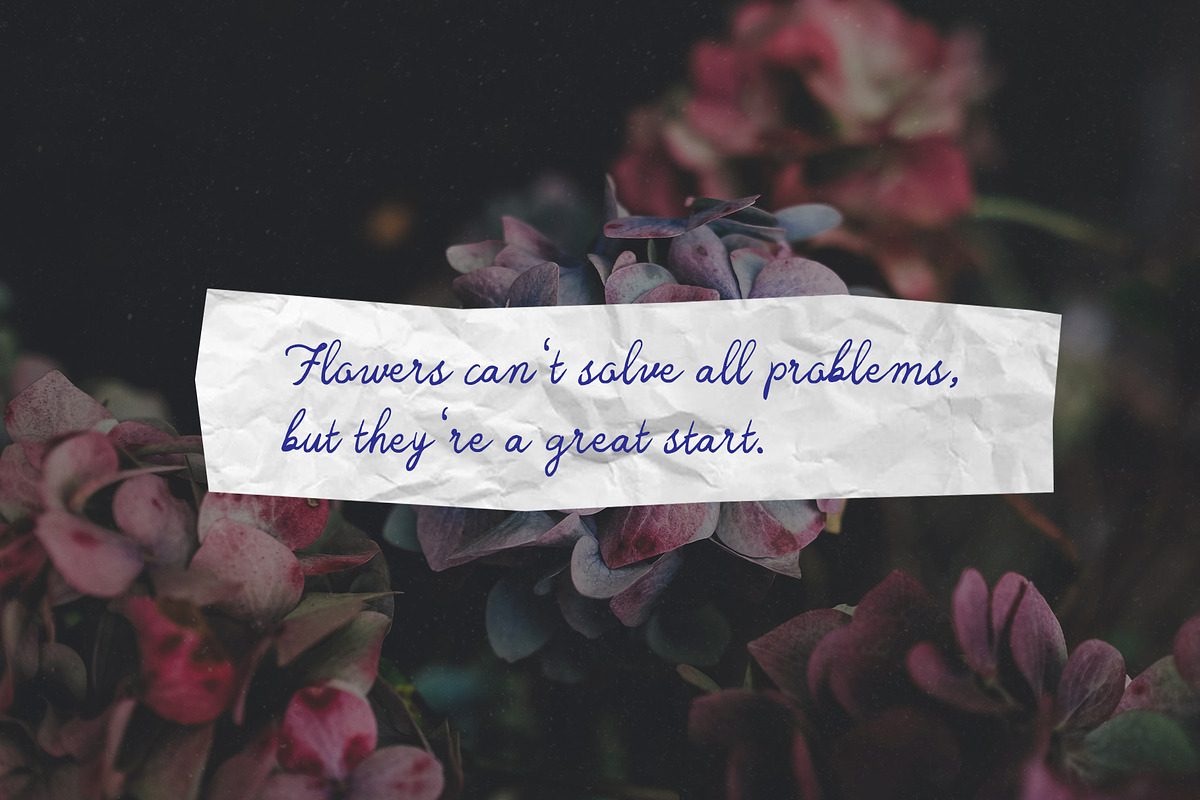 Handwritten Font Lavender Lullaby, a Script Font by Perplexitics (Photo 8 of 11)