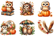 Watercolor Autumn Owl Clipart Bundle, a Seasonal Illustration by DreamArtGraphic (Thumbnail 4 of 4)