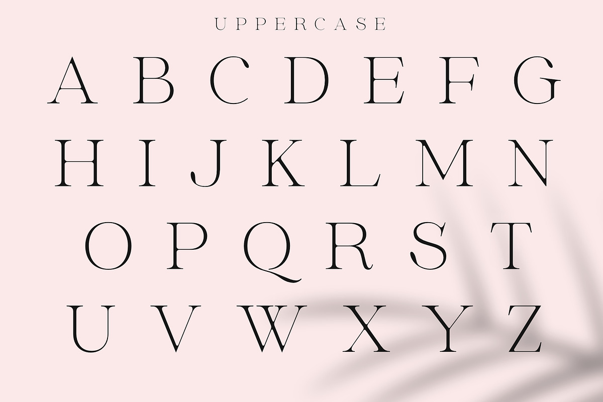 Megans | Elegant Stylish Serif, a Serif Font by Sealoung (Photo 11 of 16)