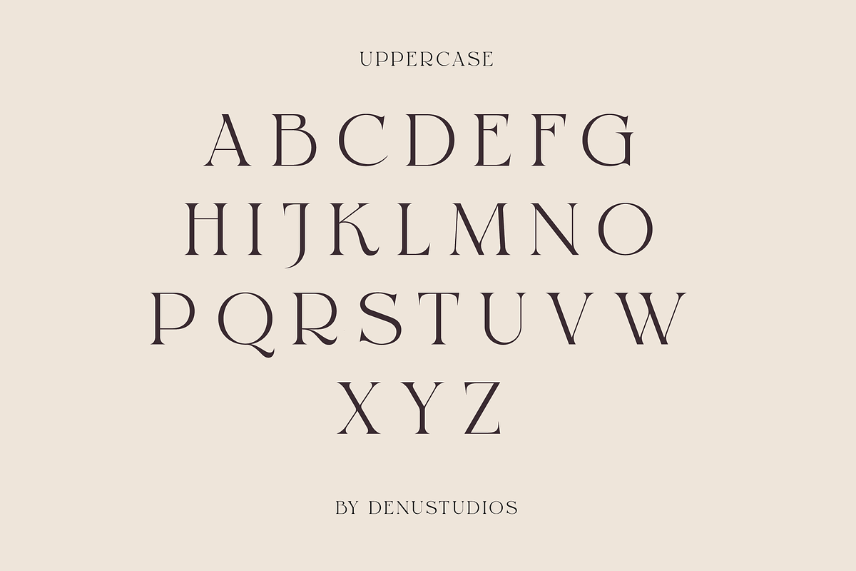 Reglarik | Modern Serif, a Serif Font by Denustudios (Photo 8 of 10)