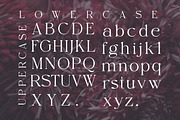 Elaine Dawn - Modern Luxury Serif, a Serif Font by Qweera Studio (Thumbnail 11 of 12)