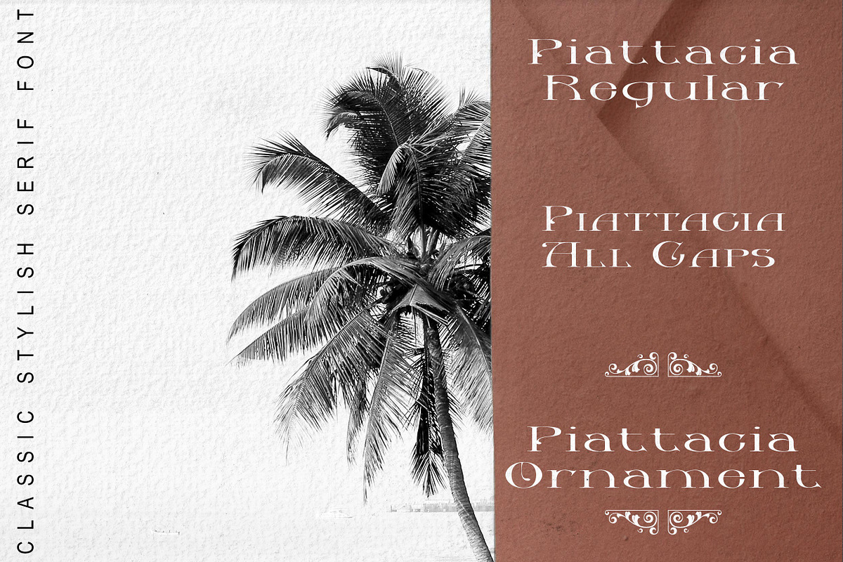 Piattacia font family, a Serif Font by greatypes studio (Photo 2 of 15)