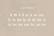 Purity - Modern Ligature Font, a Serif Font by TypeFounder (Thumbnail 10 of 11)