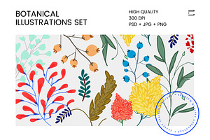 Botanical Illustration Set 1