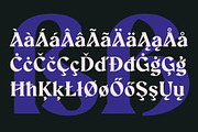 Aeda Rift, a Serif Font by ZP Fonts™ (Thumbnail 12 of 12)