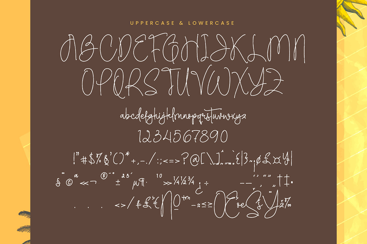Velvet Horizon, a Script Font by Integritype Studio (Photo 13 of 15)