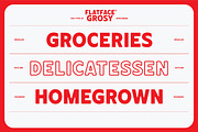 Flatface Grosy, a Symbol Font by Flatface (Thumbnail 8 of 10)