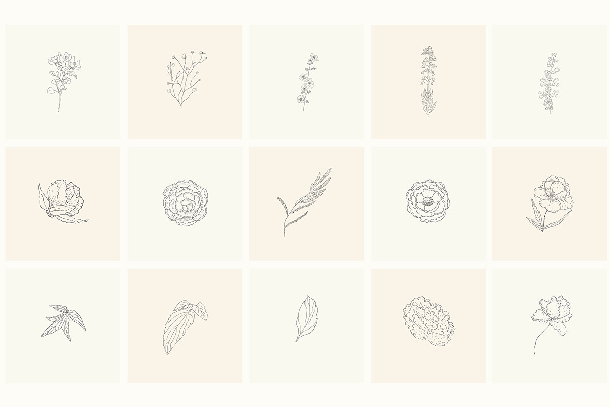 Hand Drawn Floral Elements. Frames, a Seasonal Illustration by Designwork (Photo 7 of 22)