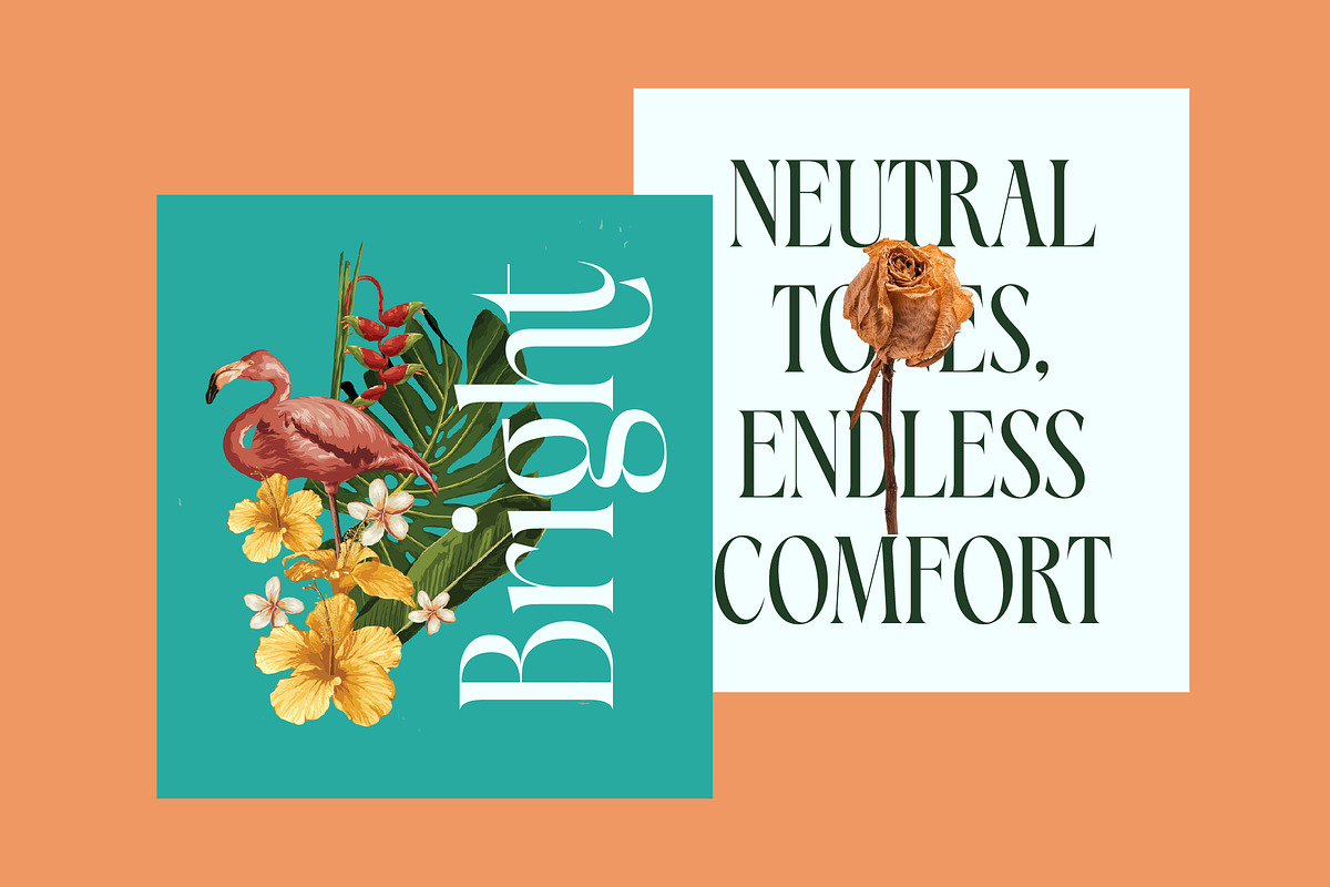 Blamore Modern Serif Display, a Serif Font by timelesstype.co (Photo 6 of 20)