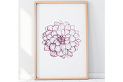 Drawing of DAHLIA Flower Line Art, a Decorative Illustration by Sense Library (Thumbnail 5 of 5)