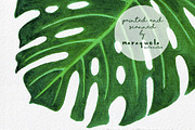 Tropical Clipart - Hand painted, a Decorative Illustration by MaraquelaStudio (Thumbnail 8 of 8)