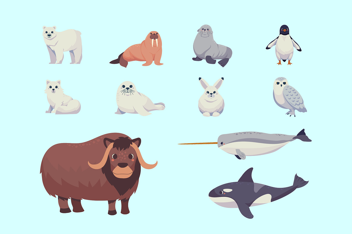Arctic Animals Illustration Set