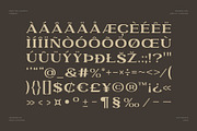 GARLEUX Duo Display Font, a Serif Font by sentype (Thumbnail 6 of 8)