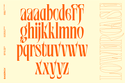 Bergurau Typeface, a Serif Font by Bagerich Type Foundry (Thumbnail 7 of 7)