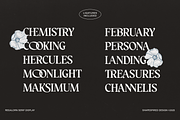 Regalorn - Elegant Serif Display, a Serif Font by Shapespired Design (Thumbnail 12 of 20)