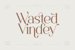 Wasted Vindey - Classy Serif Font