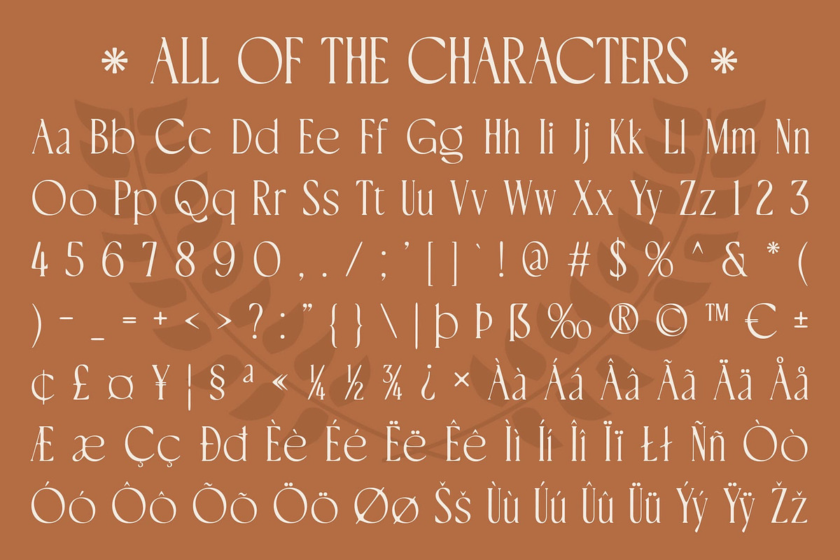 CS Calory Drawn, a Serif Font by Craft Supply Co. (Photo 8 of 8)