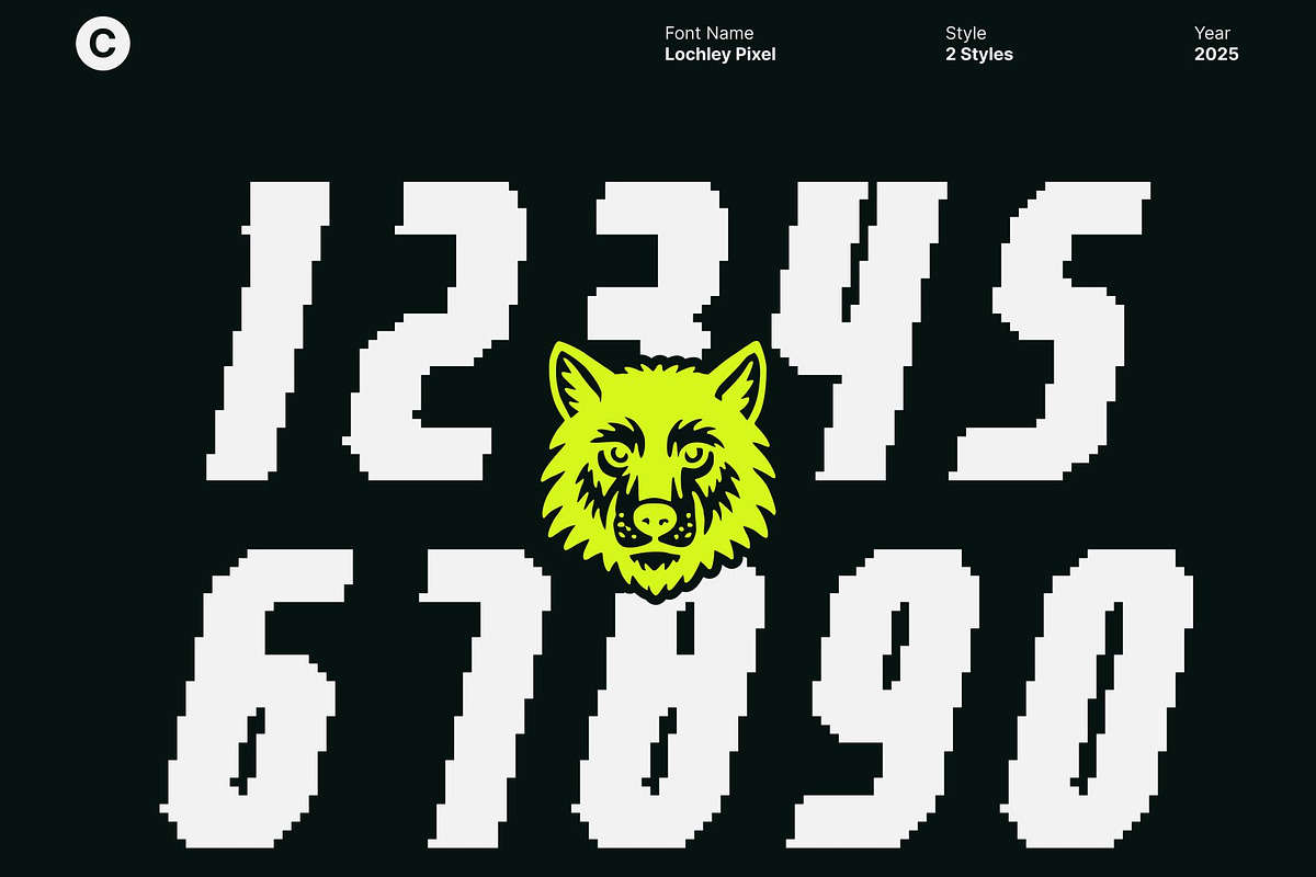 Lochley Pixel, a Sans Serif Font by Craft Supply Co. (Photo 6 of 8)