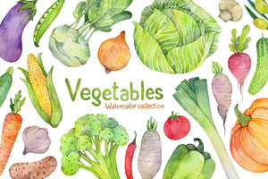Vegetables Watercolor collections