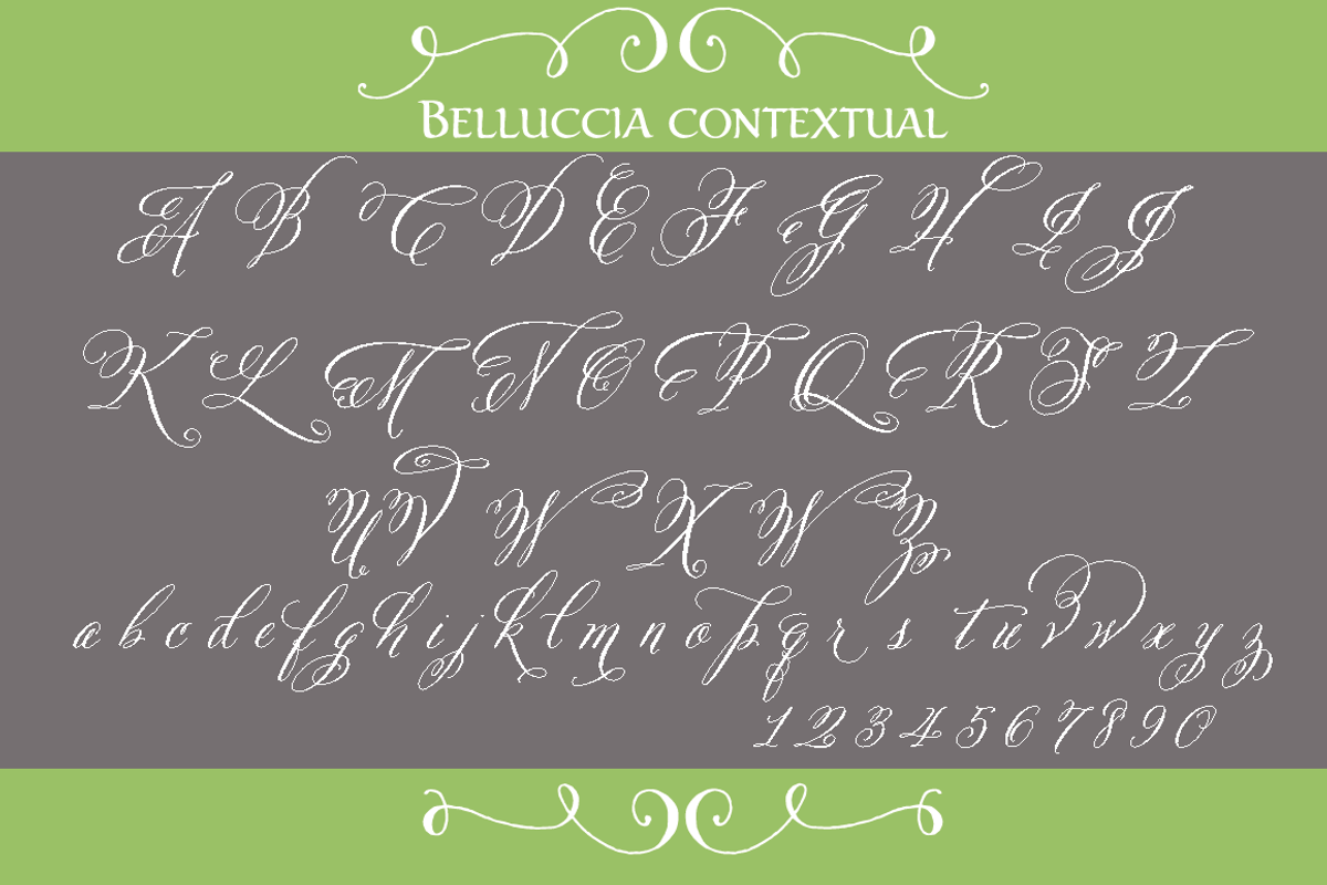 Belluccia Pro Font preview 3